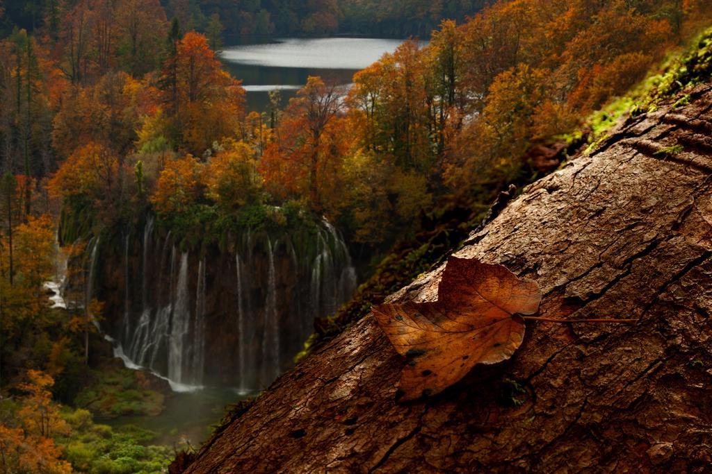 Guesthouse Villa Plitvicka Plitvicka Jezera Ruang foto