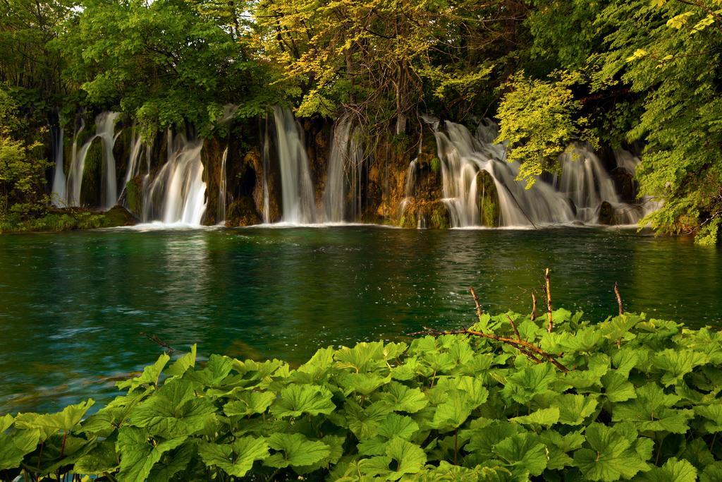 Guesthouse Villa Plitvicka Plitvicka Jezera Ruang foto